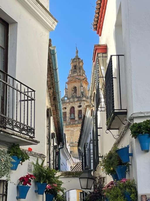 Apartamento El Rincon De La Verdad Cordoba Exterior photo